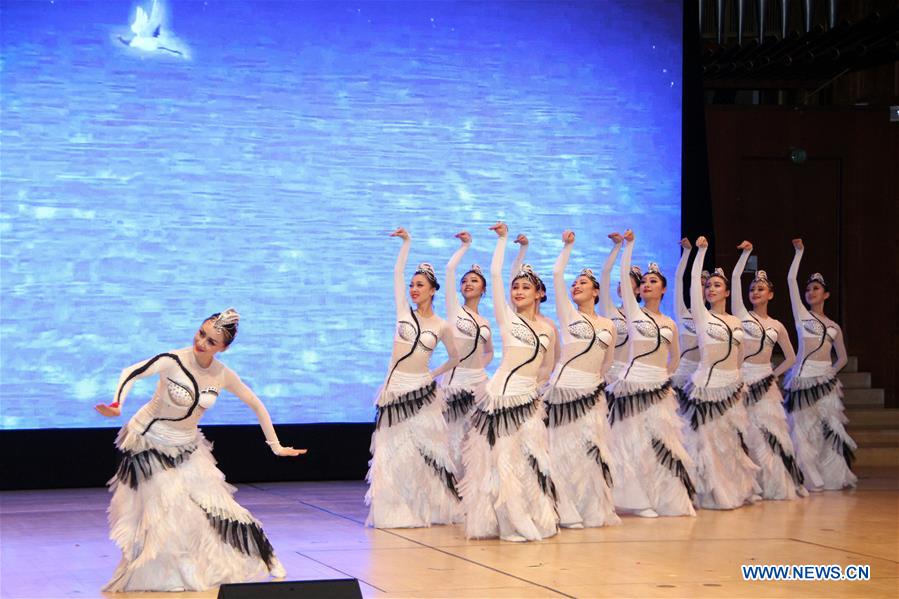 DENMARK-COPENHAGEN-GALA PERFORMANCE-CHINESE SPRING FESTIVAL