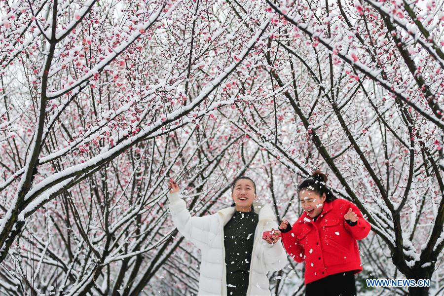 #CHINA-JIANGSU-PLUM BLOSSOM(CN)