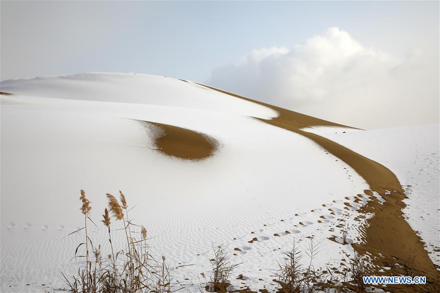 #CHINA-XINJIANG-TAKLIMAKAN DESERT-SCENERY (CN)