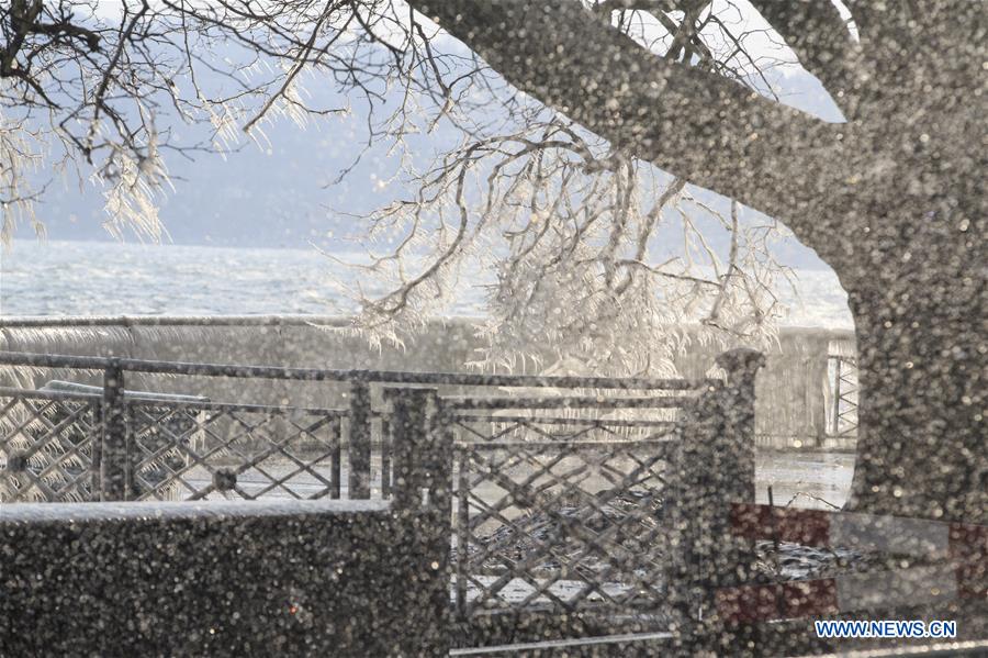 SWITZERLAND-GENEVA-LAKE LEMAN-ICICLES