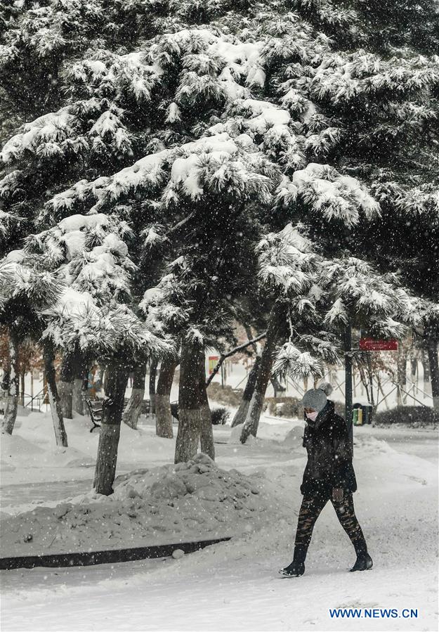 CHINA-JINLIN-HEAVY SNOW(CN)