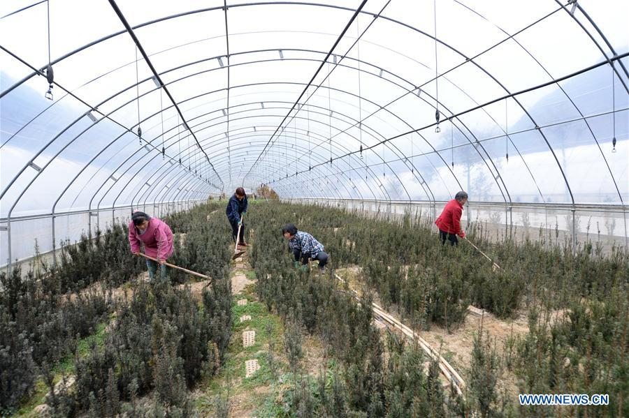 CHINA-JINGZHE-FARM WORK (CN) 