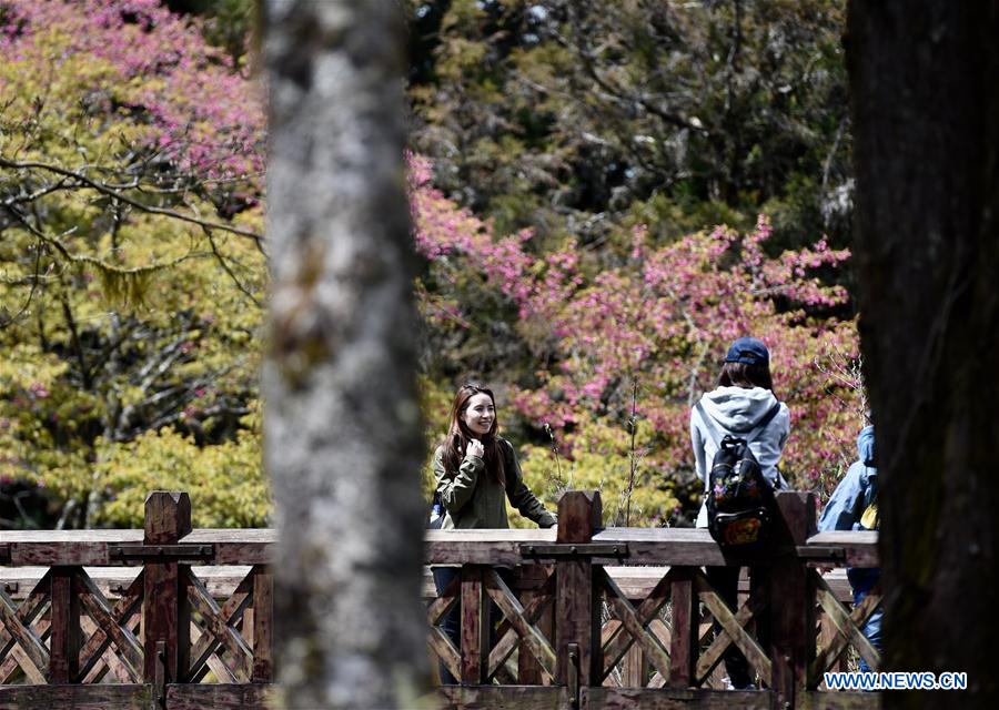 CHINA-ALI MOUNTAIN-SCENERY(CN) 