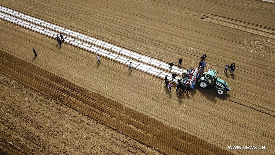 CHINA-XINJIANG-SELF-DRIVING TRACTOR (CN)