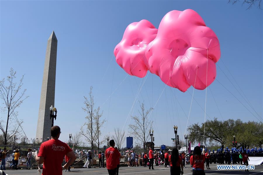 U.S.-WASHINGTON D.C.-NATIONAL CHERRY BLOSSOM FESTIVAL-PARADE