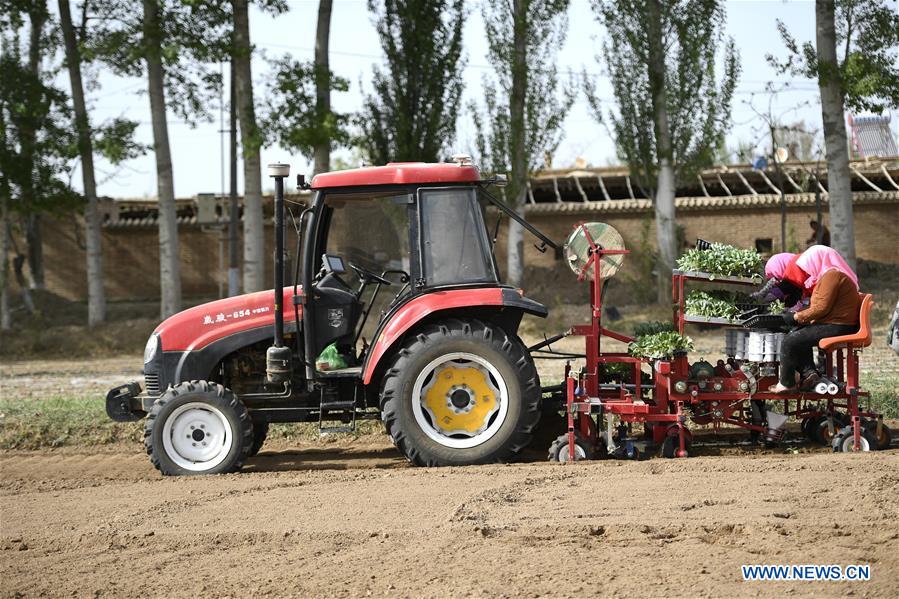 CHINA-NINGXIA-MODERNIZED AGRICULTURE (CN)