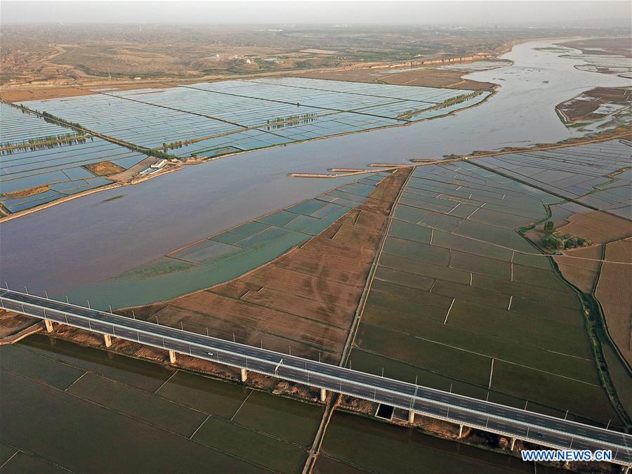 CHINA-YINCHUAN-PADDY FIELD (CN)