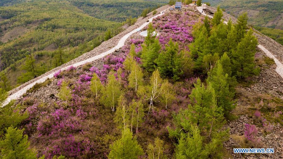 CHINA-INNER MONGOLIA-ARXAN-SCENERY (CN) 