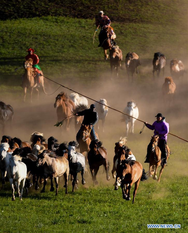 CHINA-INNER MONGOLIA-GRASSLAND-HORSES (CN)