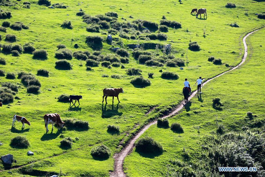 #CHINA-SUMMER-NATURE (CN)