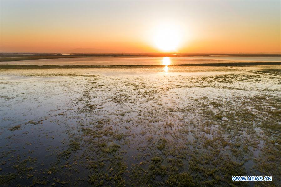 #CHINA-JIANGXI-POYANG LAKE-SCENERY (CN)