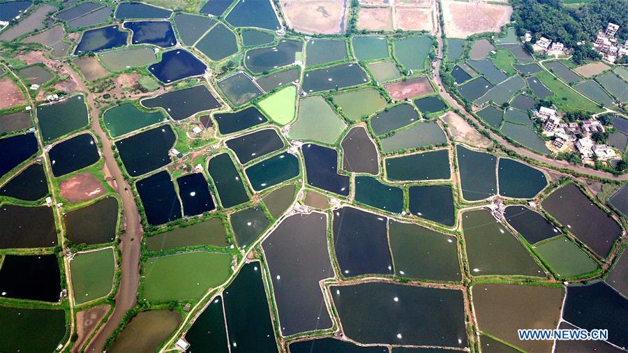 CHINA-GUANGXI-QINZHOU-PONDS-SCENERY (CN)