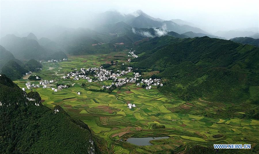 CHINA-GUANGXI-LONGLIN-AUTUMN SCENERY (CN)