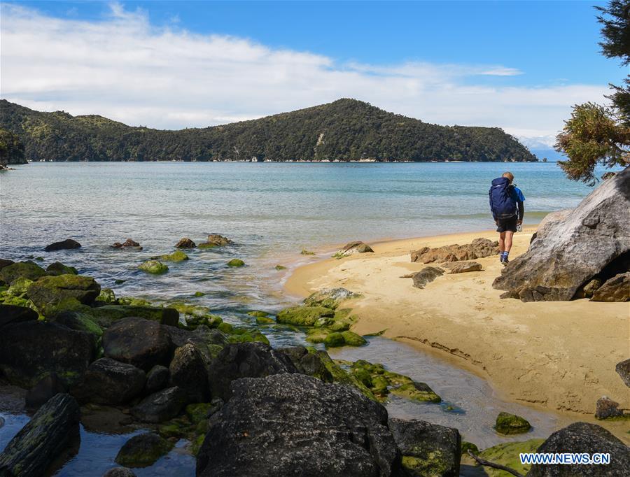 NEW ZEALAND-ABEL TASMAN NATIONAL PARK-DAILY LIFE