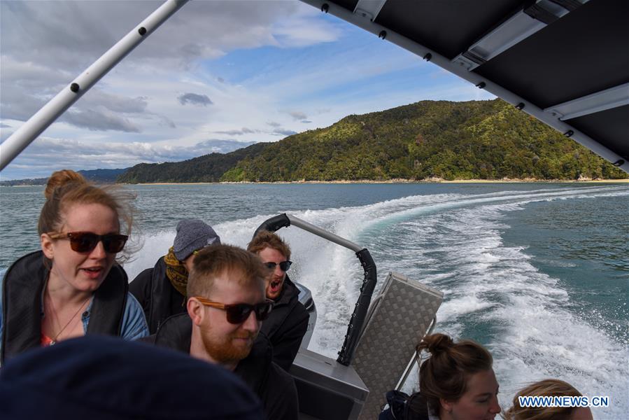 NEW ZEALAND-ABEL TASMAN NATIONAL PARK-DAILY LIFE