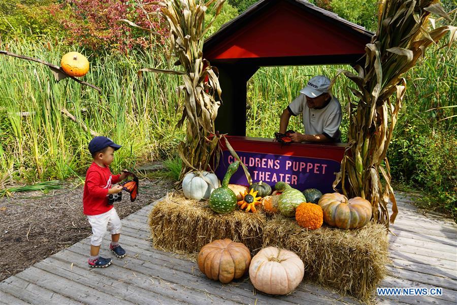 U.S.-NEW YORK-PUMPKIN GARDEN