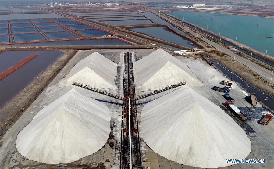 CHINA-TANGSHAN-SEA SALT-HARVEST (CN)