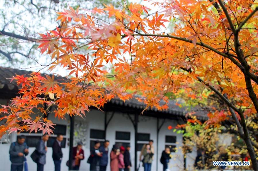 #CHINA-SCENERIES (CN)