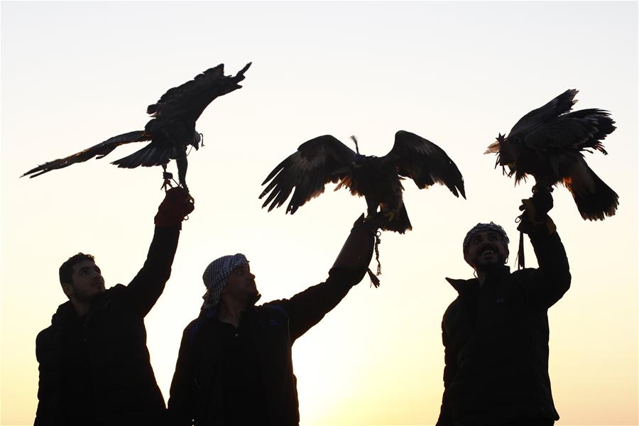 EGYPT-ALEXANDRIA-WORLD FALCONRY DAY-FALCONERS