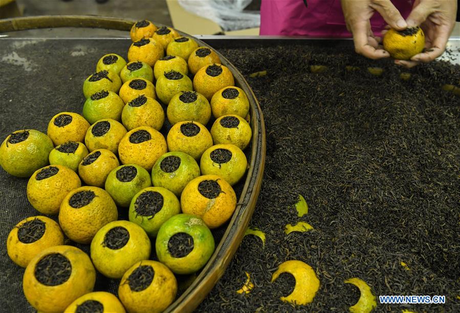 CHINA-GUANGDONG-JIANGMEN-TANGERINE-HARVEST(CN)