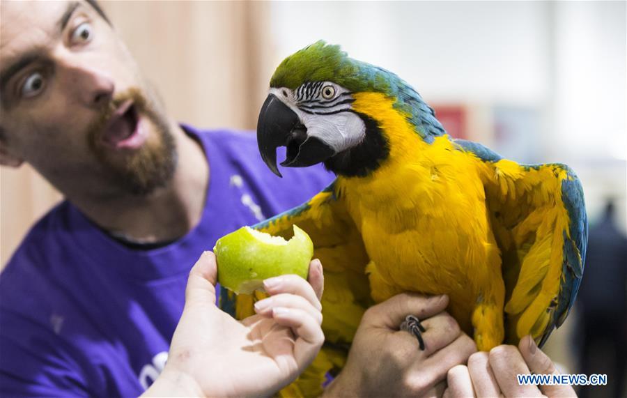 CANADA-TORONTO-WILDLIFE FESTIVAL