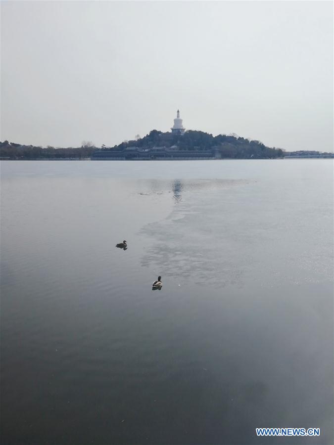 (BeijingCandid) CHINA-BEIJING-BEIHAI PARK (CN)