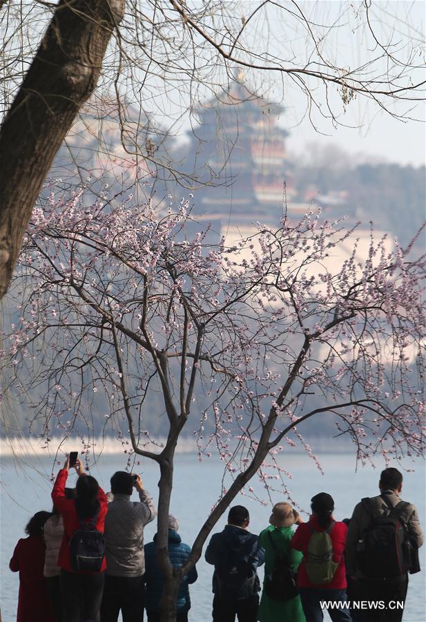 CHINA-BEIJING-SUMMER PALACE-SCENERY (CN)