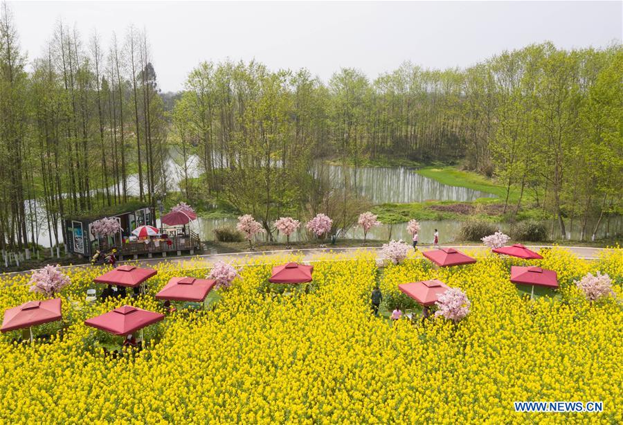 CHINA-SICHUAN-RURAL DEVELOPMENT-FLOWERS-TOURISM (CN)