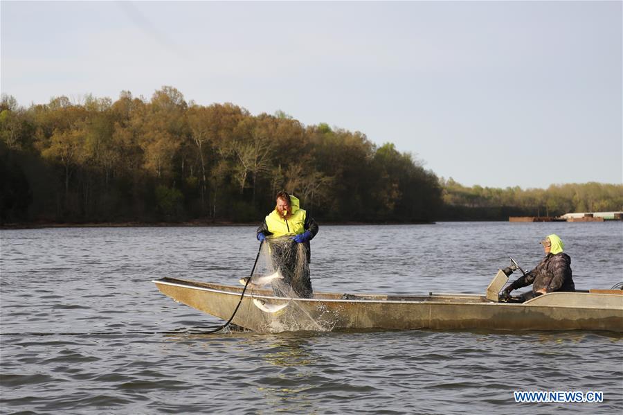 U.S.-KENTUCKY-WICKLIFFE-FISHERIES INDUSTRIAL PARK-OPENING