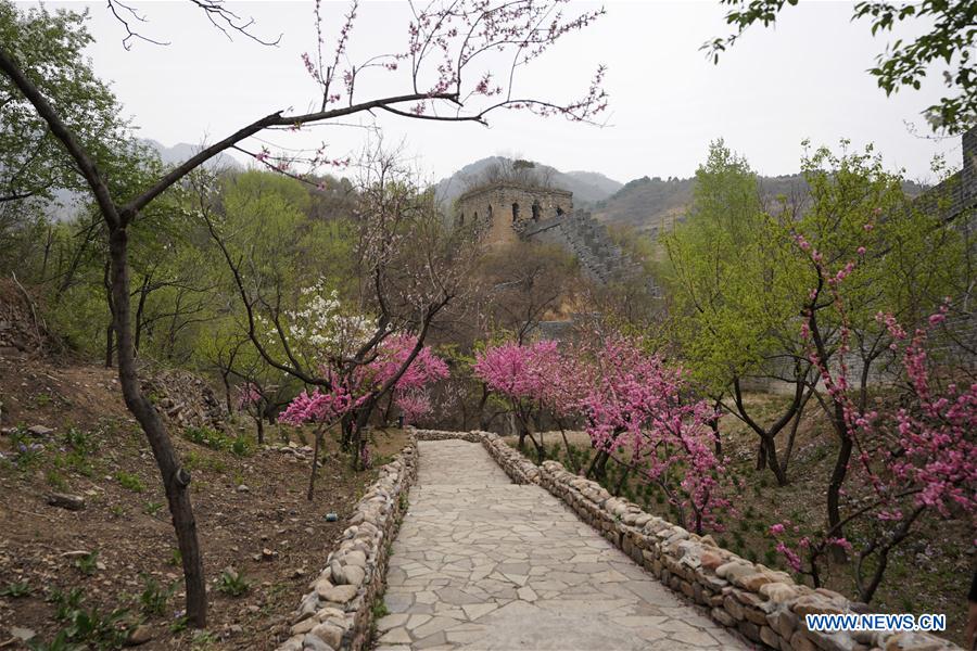 CHINA-HEBEI-QINGSHANGUAN-GREAET WALL (CN)