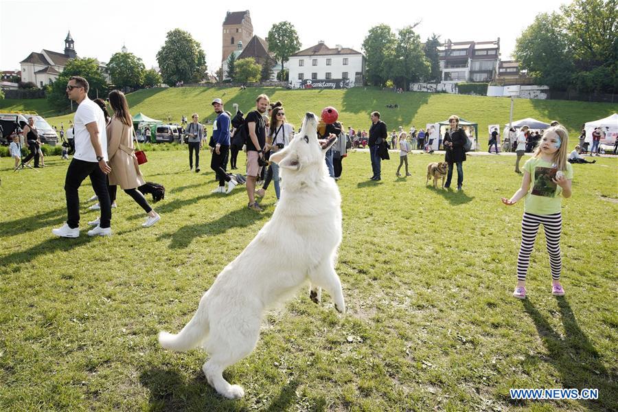 POLAND-WARSAW-WARSAW PET DAY