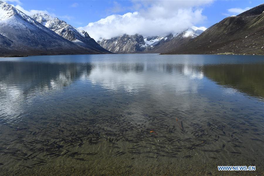 CHINA-QINGHAI-NIANBAOYUZE-MOUNTAIN-SCENERY (CN)