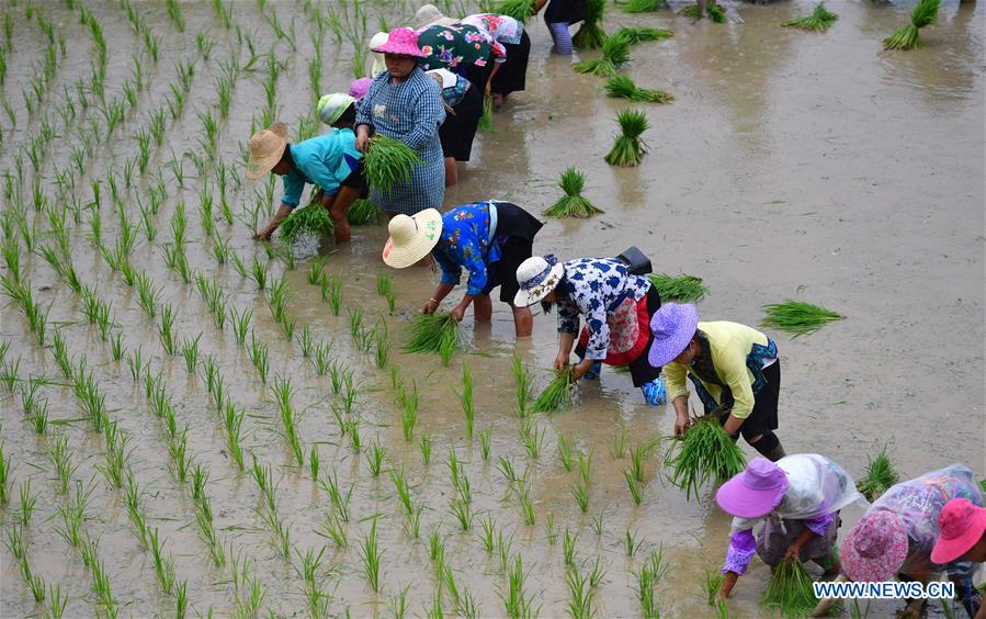 CHINA-GUANGXI-RONGSHUI-POVERTY ALLEVIATION (CN)