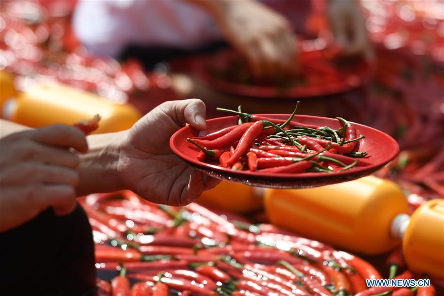 CHINA-ZHEJIANG-HANGZHOU-CHILI EATING COMPETITION (CN)