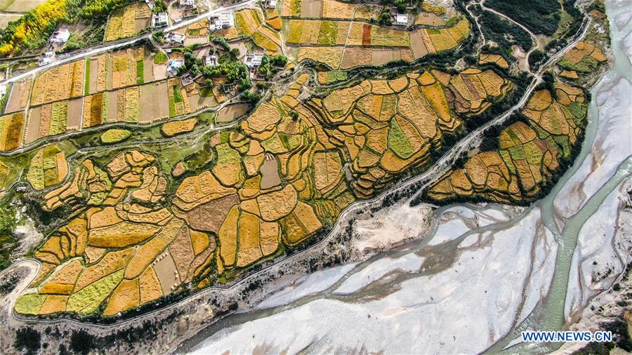 CHINA-HARVEST-AERIAL VIEW (CN)