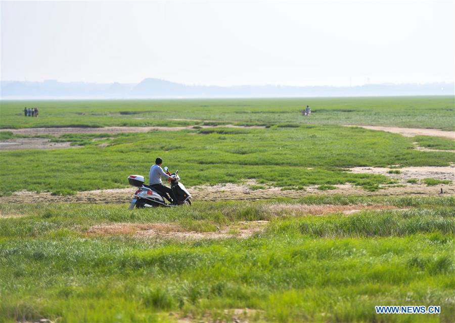 CHINA-JIANGXI-POYANG LAKE-DRY SEASON (CN)