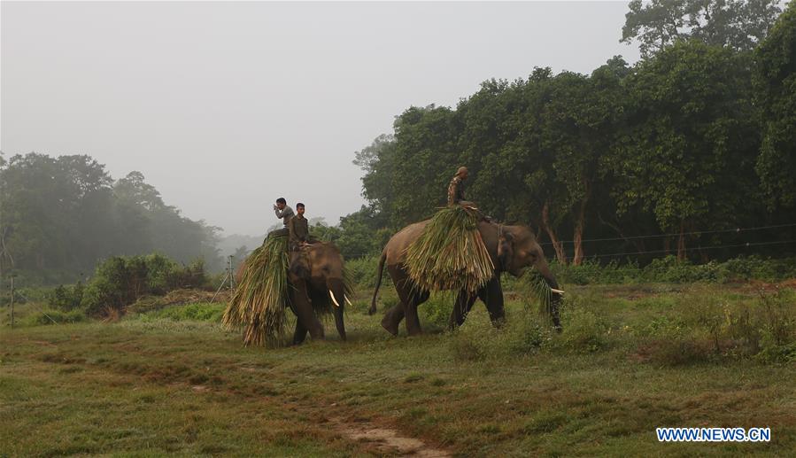 NEPAL-CHITWAN-TOURISM-DAILY LIFE