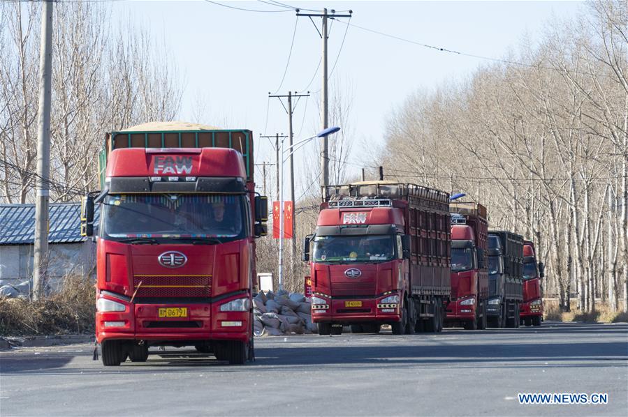 CHINA-HEILONGJIANG-HARBIN-AGRICULTURE-SOYBEAN-GRAIN PROCUREMENT  (CN)