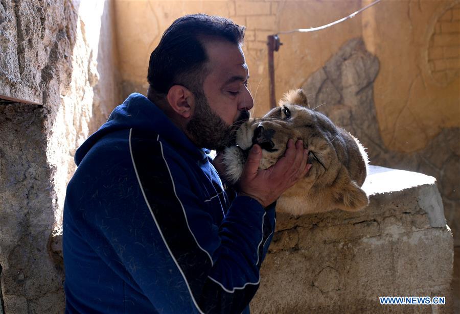 SYRIA-DAMASCUS-ANIMAL COLLECTOR