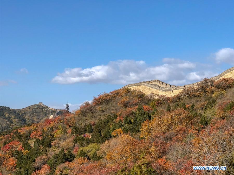 (BeijingCandid)CHINA-BEIJING-AUTUMN (CN)