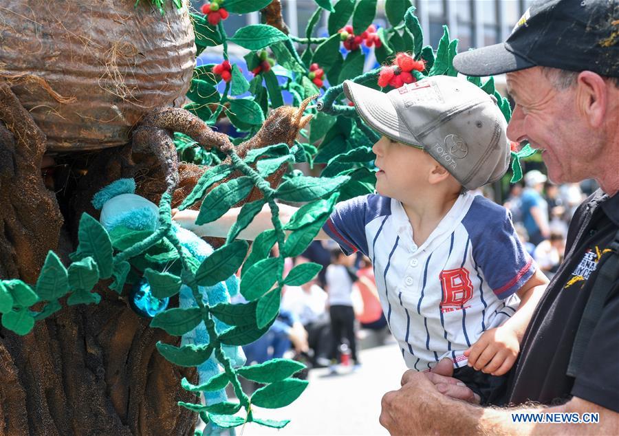 NEW ZEALAND-WELLINGTON-CHRISTMAS PARADE