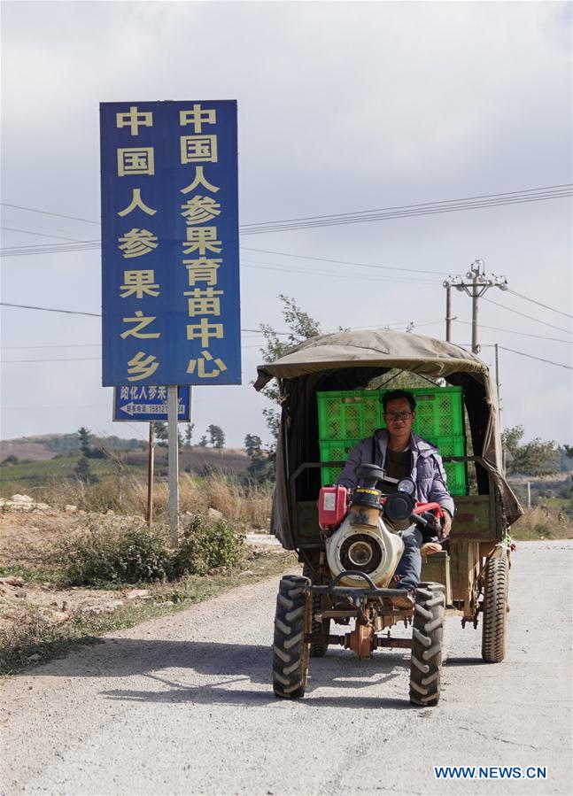 CHINA-YUNNAN-POVERTY ALLEVIATION-PEPINO MELON-INDUSTRY (CN)