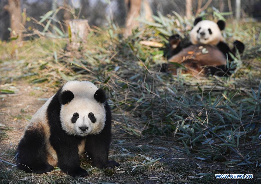 XINHUA PHOTOS OF THE DAY