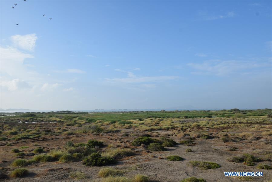 YEMEN-ADEN-NATURE RESERVE