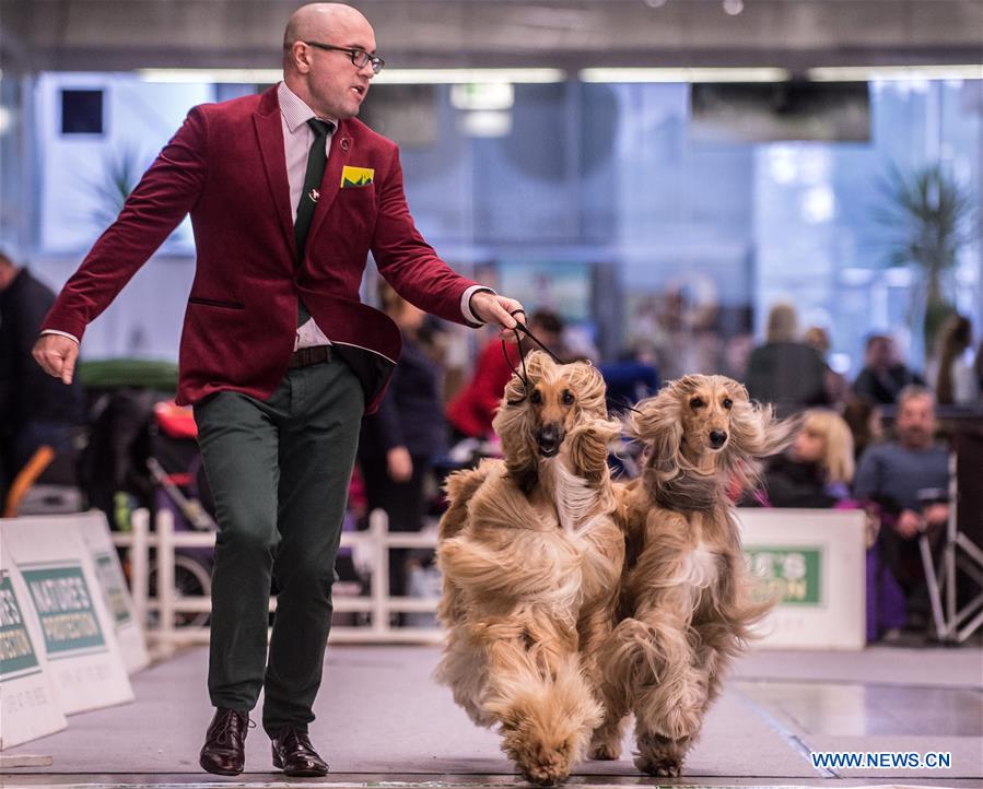 LITHUANIA-VILNIUS-DOG SHOW