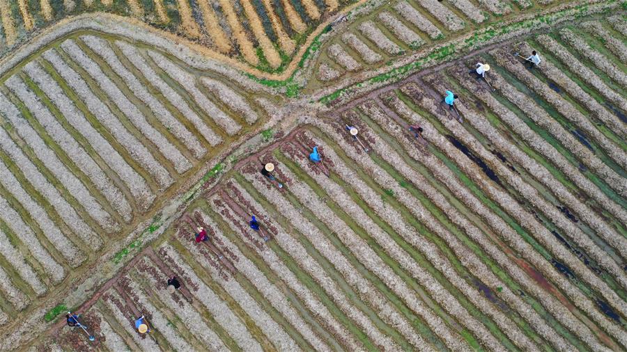 #CHINA-SPRING-FARMING (CN)