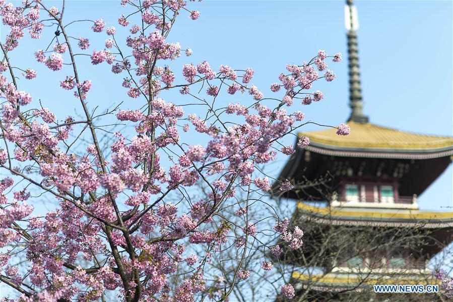 CHINA-HUBEI-WUHAN-SPRING SCENERY (CN)