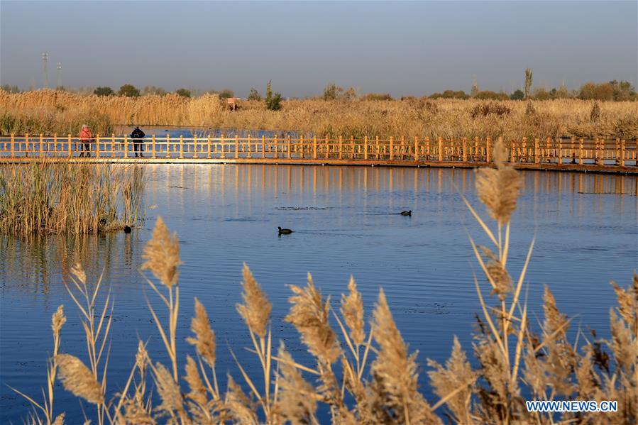 #CHINA-SHUANGJIANG-SCENERY (CN)