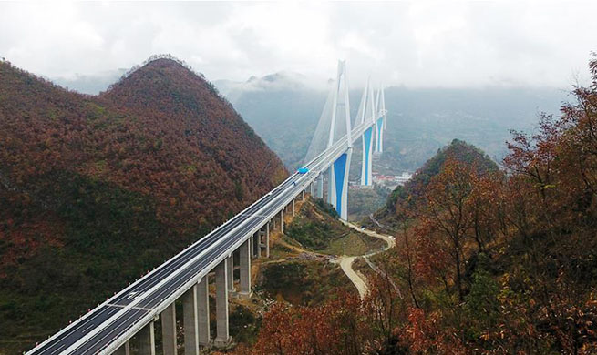 Mega bridge opens to traffic in southwest China