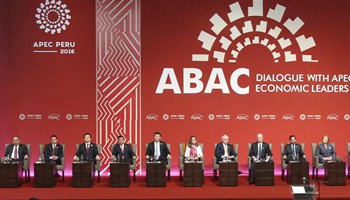 Xi holds dialogue with representatives of APEC Business Advisory Council in Lima